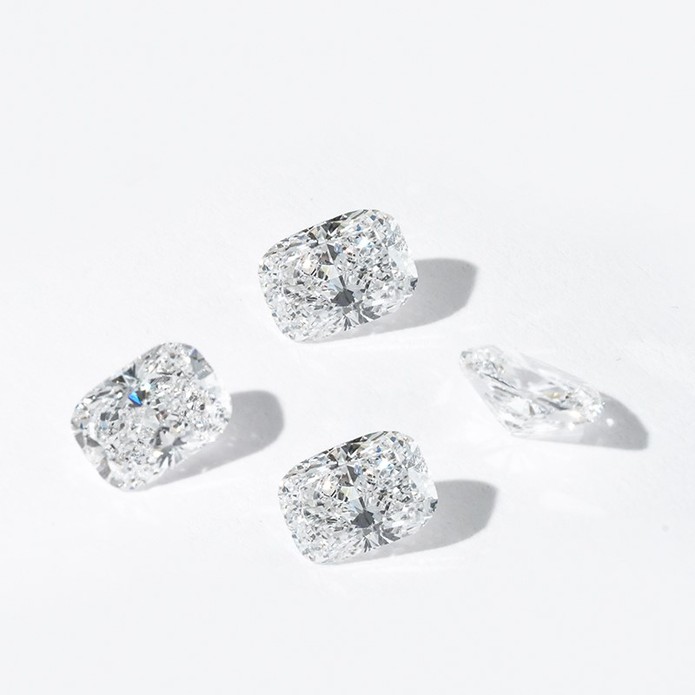 -10001DSC08335 -10001DSC08335